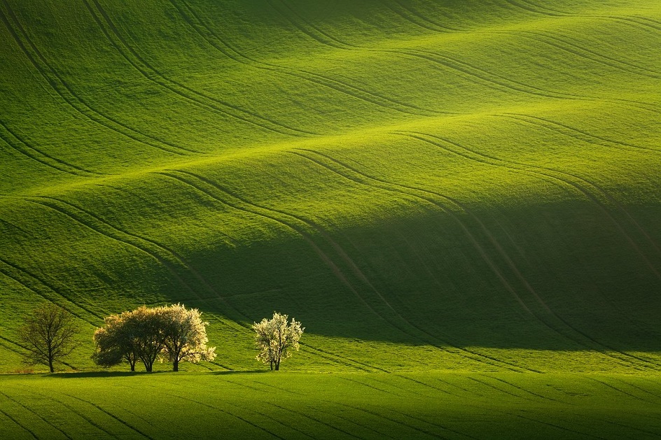 Rolling hills, Moravia, Czech Republic.