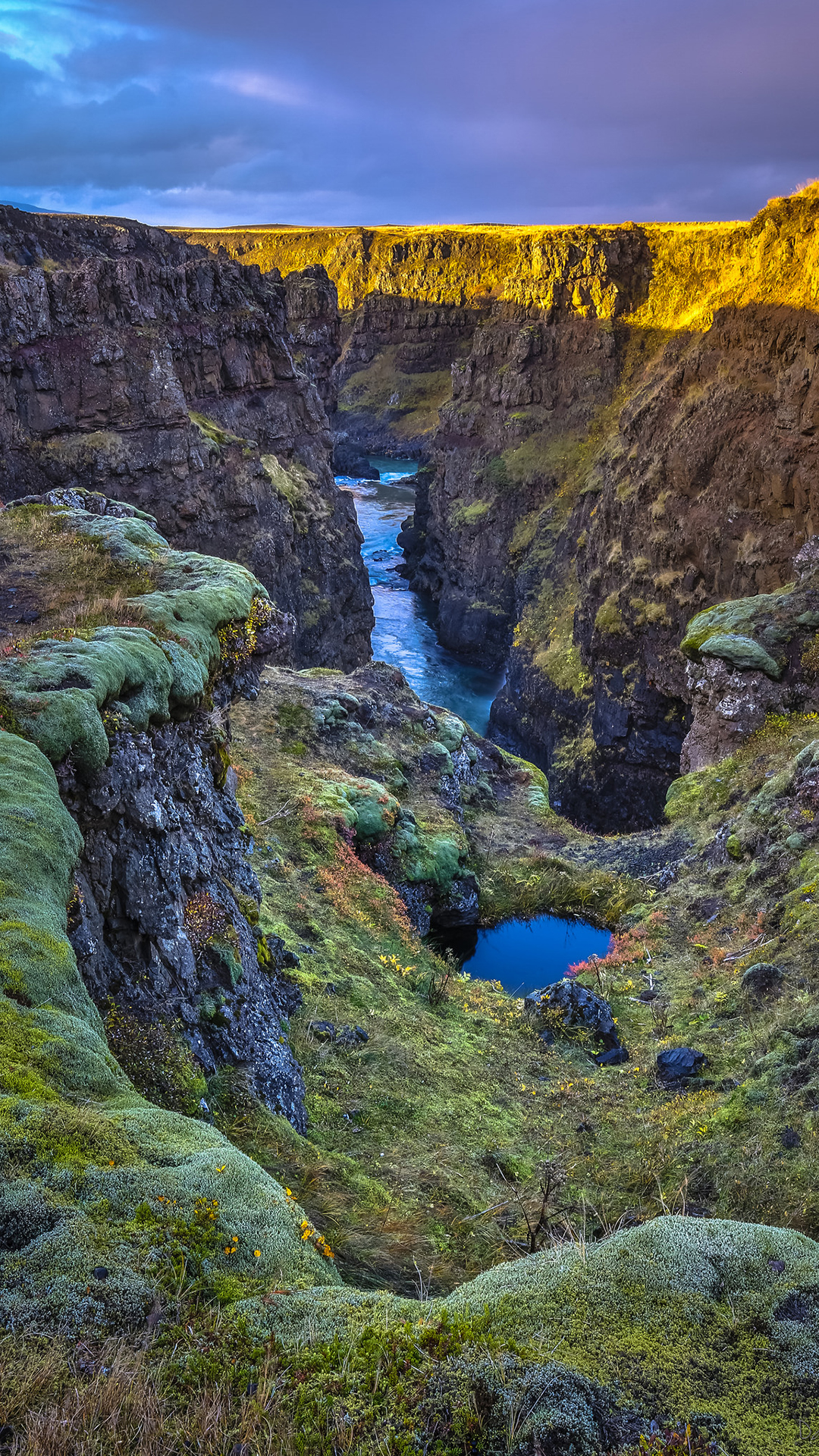 Nature, Landscape, Portrait display.